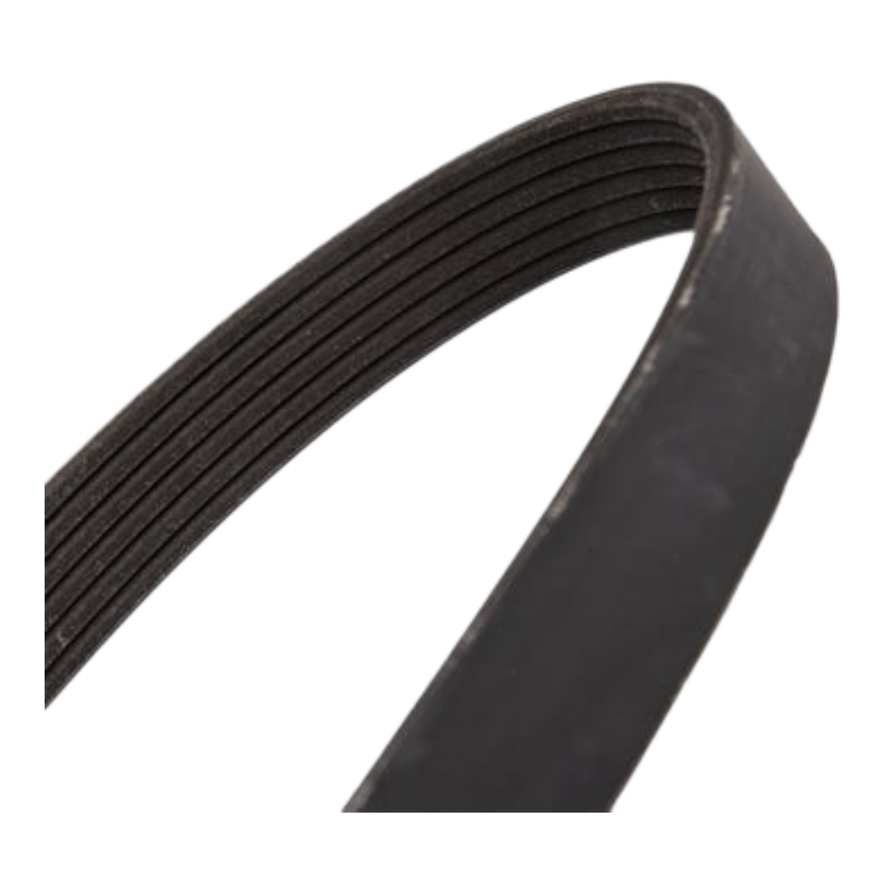 Correa Poly V 105 secadora 3